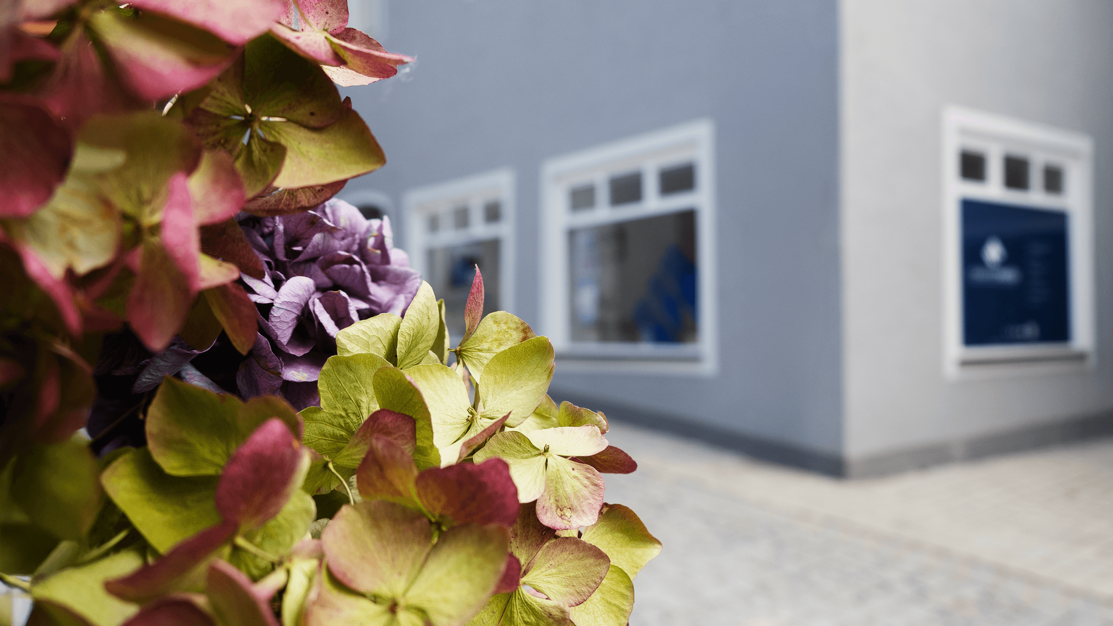 evidentmedia Büro von Außen, vor Blumenbouquet